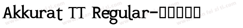 Akkurat TT Regular字体转换